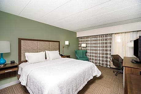 1 King Mobility/Hearing Acc Ri Shower Nosmok