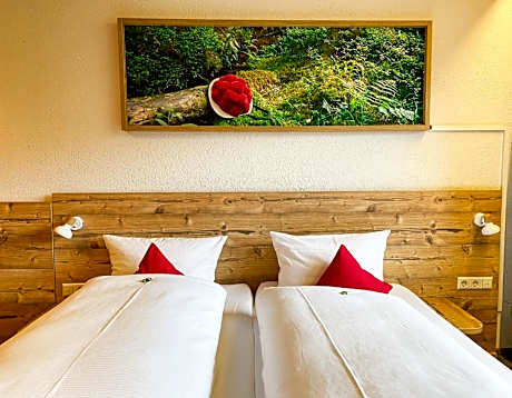 Twin Room with Balcony