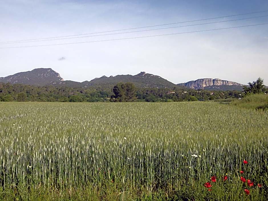 Le Castellas du Pic St Loup