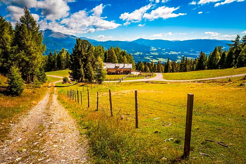 Ferienhütte Hoitahüttl