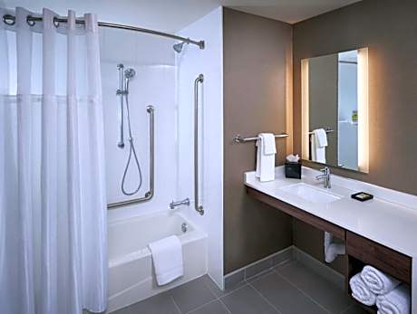 1 Bedroom Suite Mobility Accessible Tub