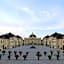 Hotel City Oase Lb