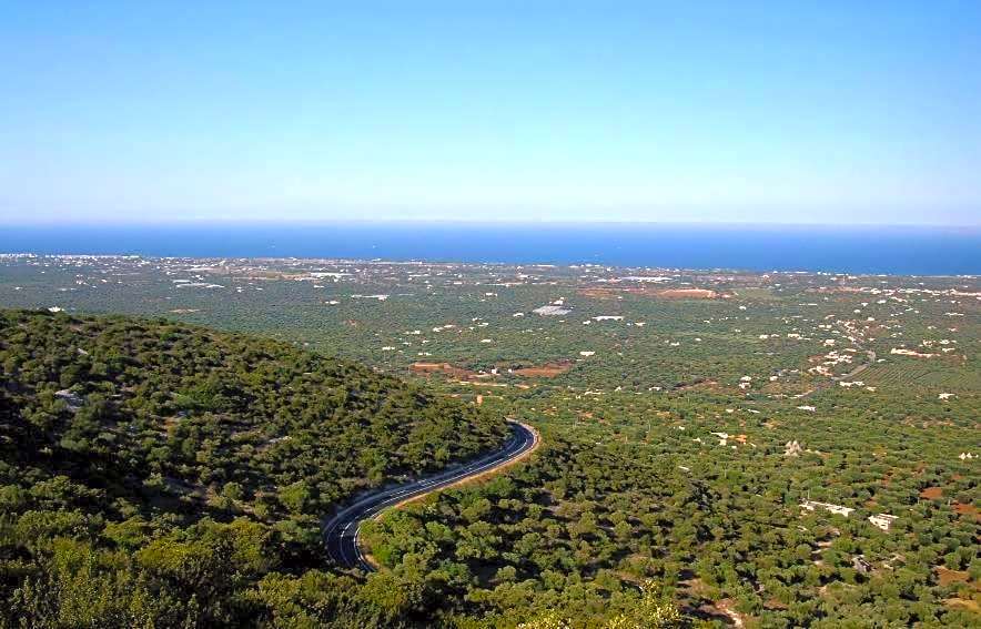 B&B Palazzo Antonelli