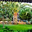 Palm Court Suites Ayvalik