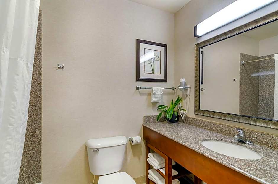 Comfort Inn & Suites near Bethel College