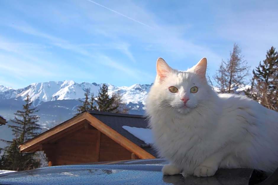 Les Mazots de la Source & Spa