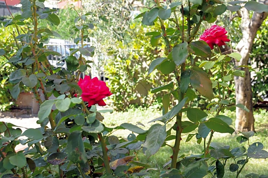 Marinetta Bed & Breakfast