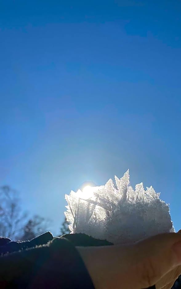 Nozawa View Hotel Shimataya