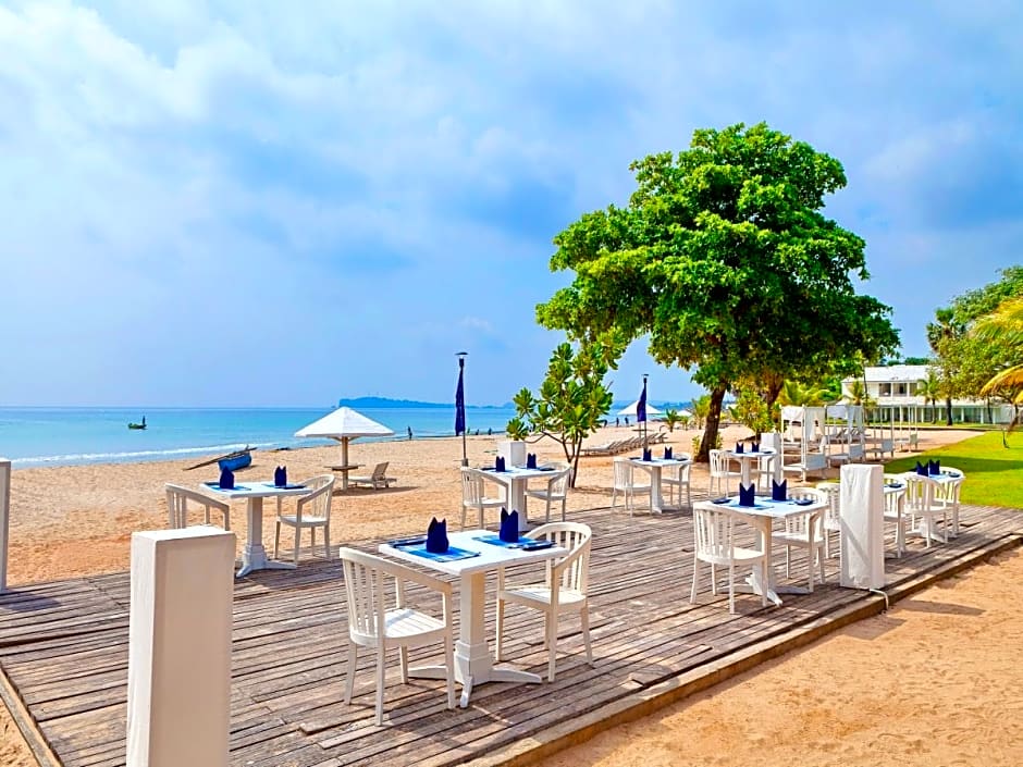 Trinco Blu by Cinnamon