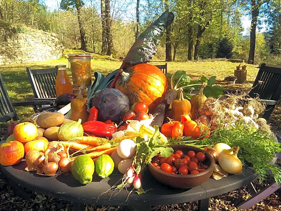 La Bouriotte, chambre d'hôtes Sycomore,