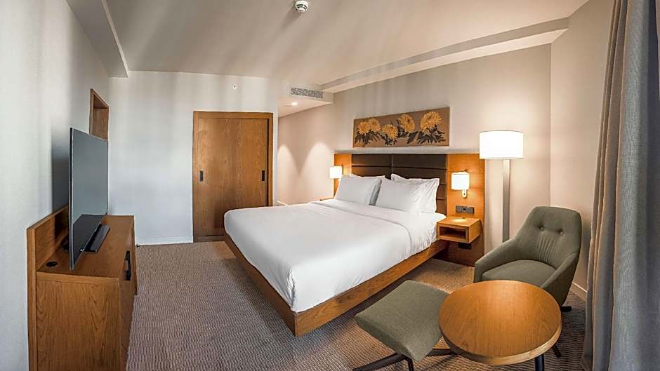 Hilton Garden Inn Tbilisi
