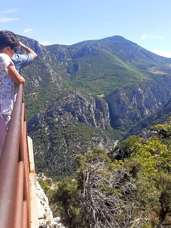 Authentique mas avec piscine en Provence