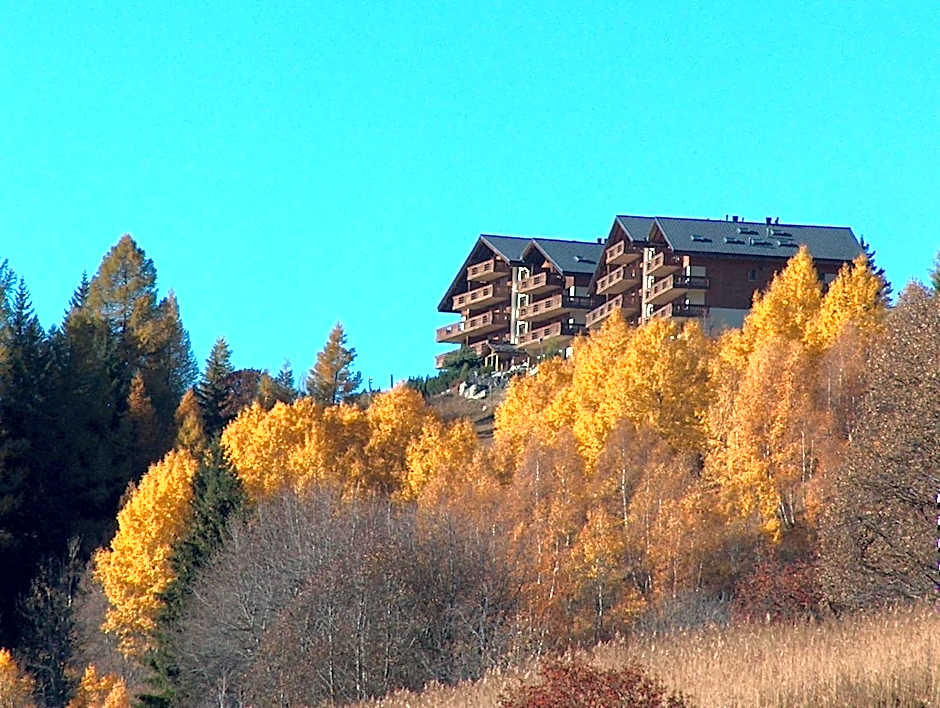 Apartments Castle