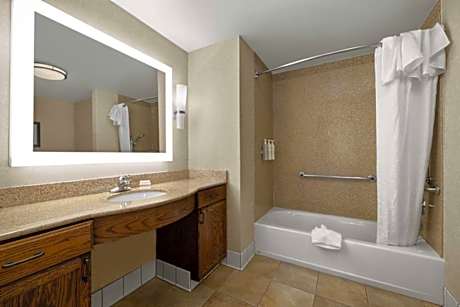 1King Mobility Accessible Bathtub Suite Ns