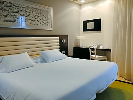 DOUBLE SUPERIOR ROOM FOR SINGLE USE WITH SEA VIEW