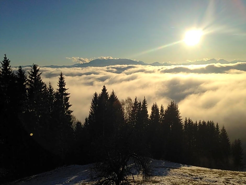 Apartments im Almhaus Bachler