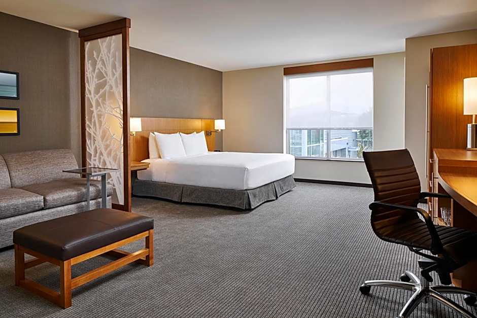 Photo 1 of 4 of 1 King Bed with Sofabed, Accessible, Bathtub