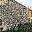 Cascina delle Mele