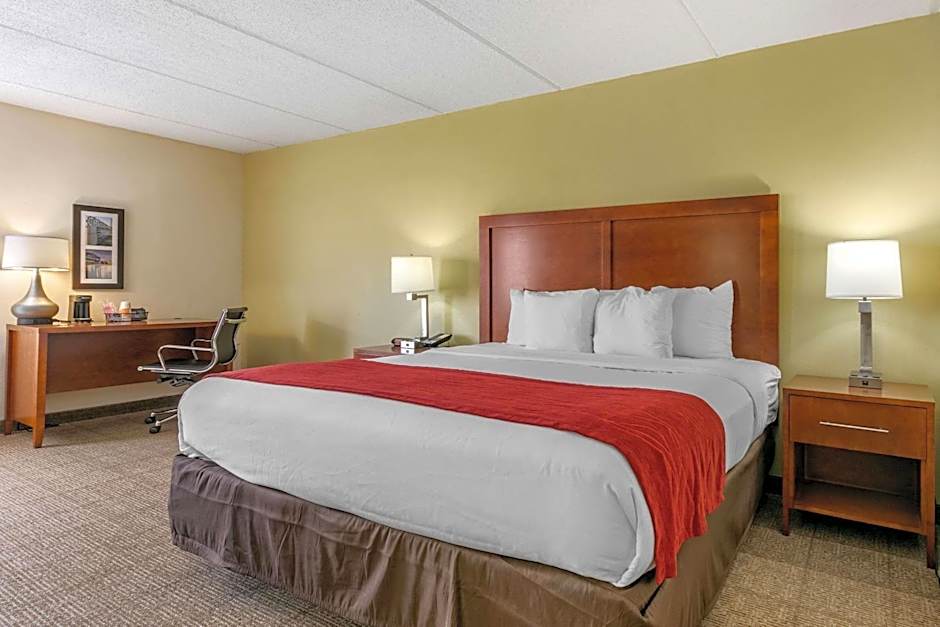 Comfort Inn Downtown Lookout Mountain Chattanooga