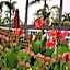 Marina Beach Motel