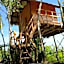 Rumah Pohon
