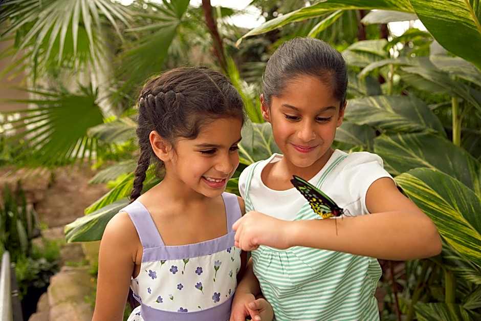 Holiday Inn Express Niagara-on-the-Lake By IHG