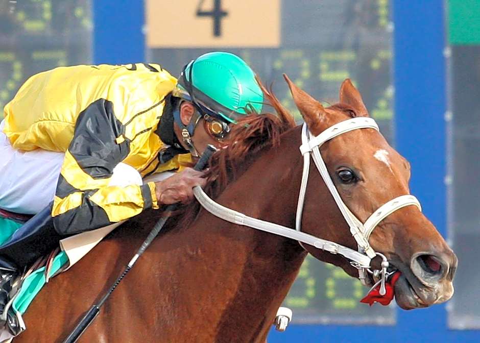 Zia Park Casino, Hotel, & Racetrack