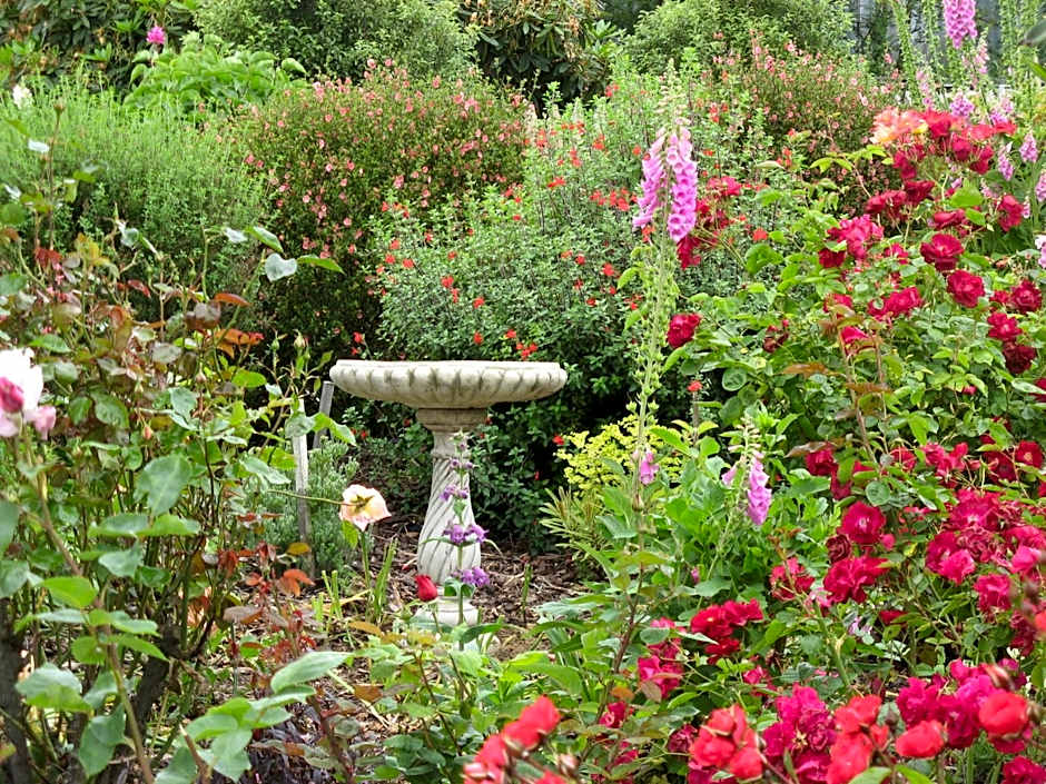 Hillside Bed and Breakfast