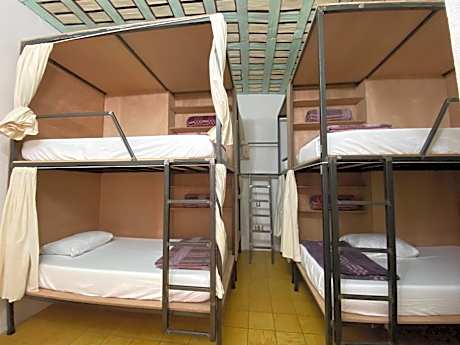Bed in 8-Bed Mixed Dormitory Room