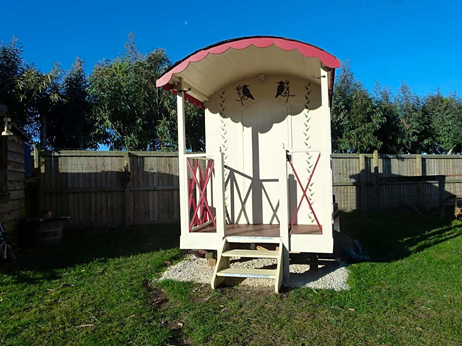 Wacky Stays - unique farm-stay glamping rentals, FREE animal feeding tours