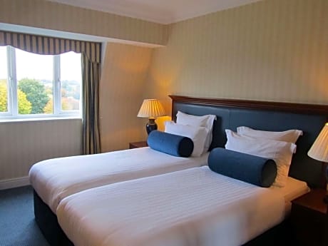 Superior Twin Room with View