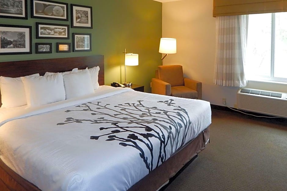 Sleep Inn & Suites near Liberty Place I-65