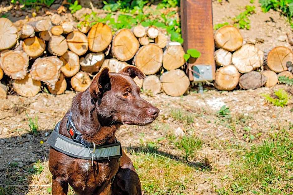 Robinzonski turizam "Robin` s Hood"