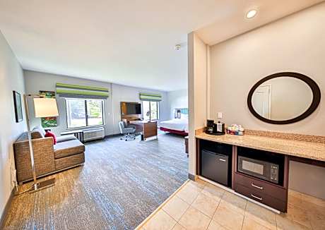 1 King Bed Studio Suite Nonsmoking