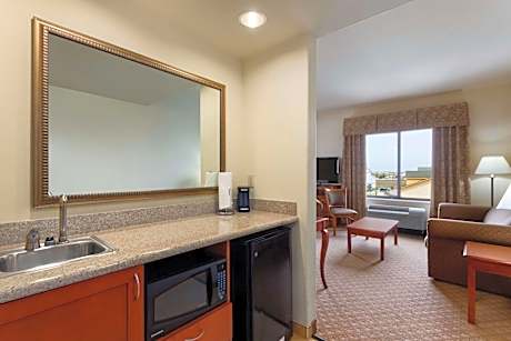 1 King Bed Studio Suite Nonsmoking