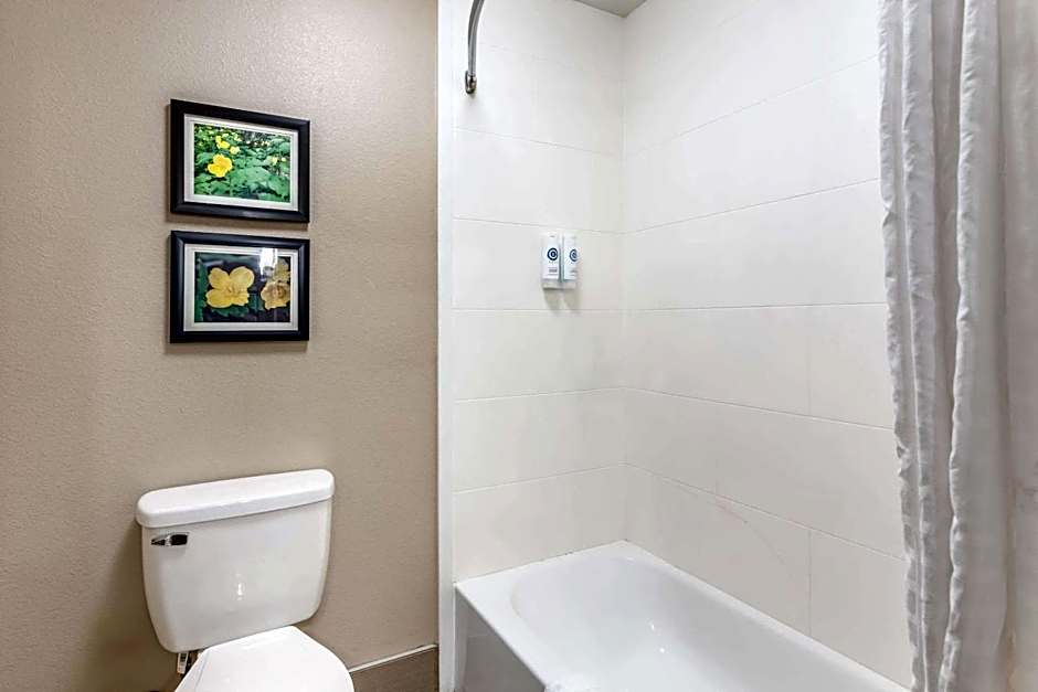 Comfort Inn & Suites Conway