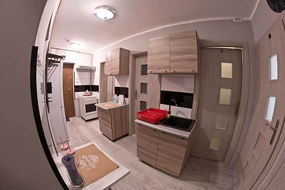 Pokój jednoosobowy do wynajęcia w mieszkaniu