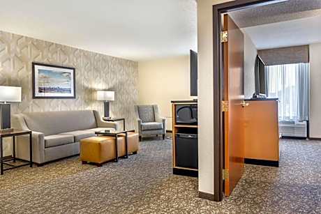 King Suite with Sofa Bed - Accessible, Tub