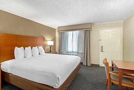 King Room with Kitchenette - Non-Smoking