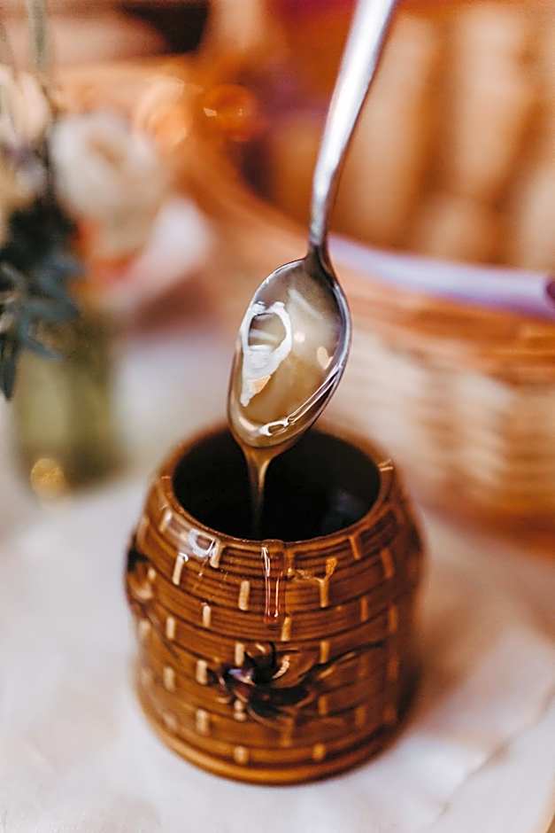 Akzent Hotel Zur Grünen Eiche