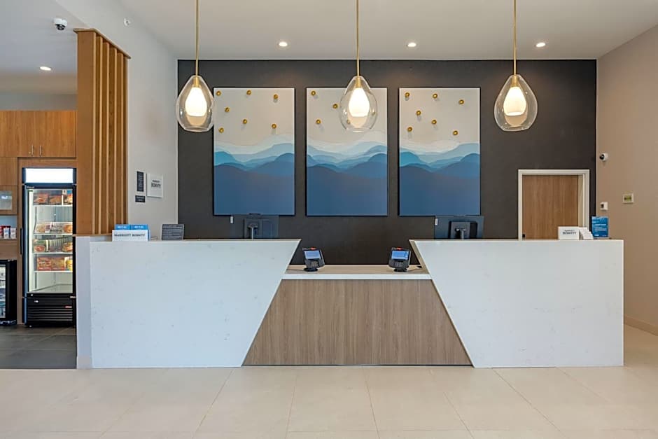 TownePlace Suites by Marriott Canton Riverstone Parkway