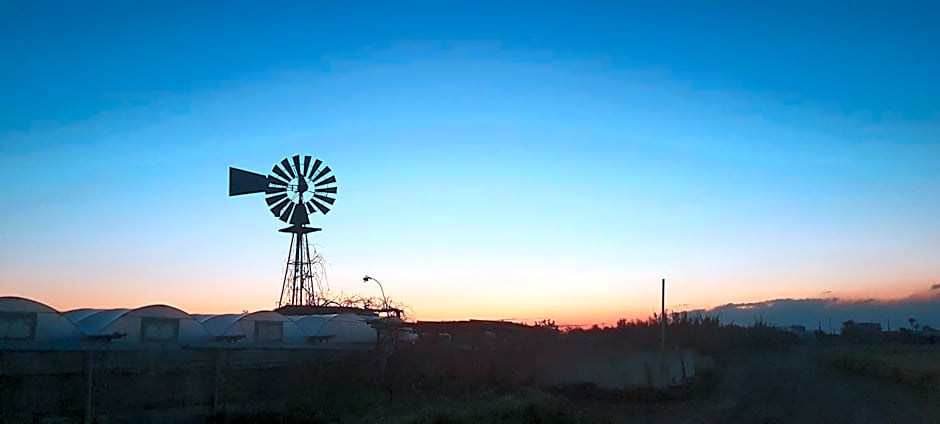 Tsokkos Gardens Hotel