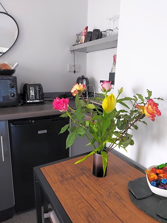 Hadrians wall studio