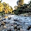 Sapphire Springs Holiday Park and Thermal Pools