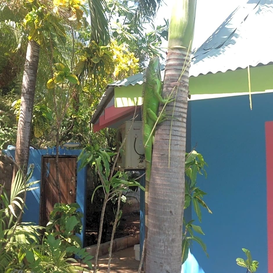 Hotel Tamarindo Village