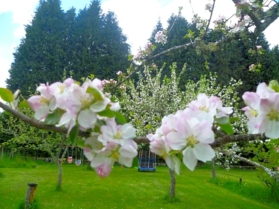 La Maison Du Marchand