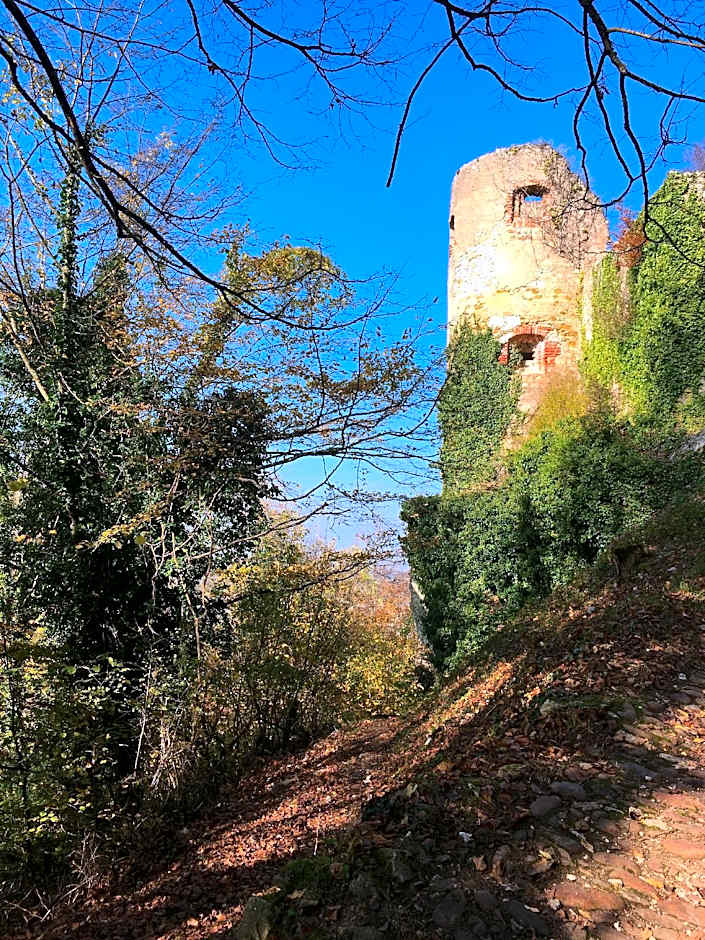 Maison des 5 Temps : Chambres d’hôtes de charme à Ferrette