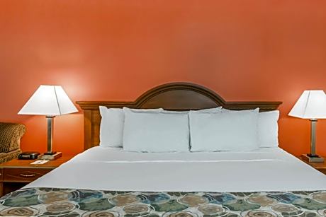 1 King Bed Non-Smoking