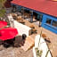 Hotel Festival Plaza Playas Rosarito