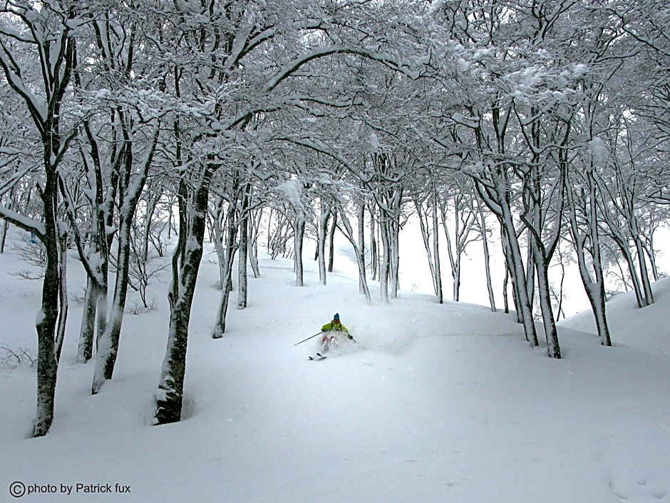 Hotel Green Plaza Hakuba